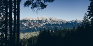 Beitragsbild des Blogbeitrags Wandern mit Hund in Tirol: Die Aldranser Alm!