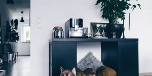 Beitragsbild des Blogbeitrags DIY: Hundehütte für die Wohnung selber bauen (inklusive praktischem Stauraum!)