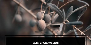 Beitragsbild des Blogbeitrags Vitamin-ABC: Darum ist Vitamin E wichtig für Haut und Zellen! 