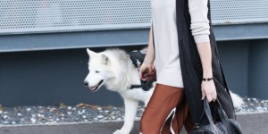 Beitragsbild des Blogbeitrags Rollkragen Pullover und Stretchstiefel mit kurzer Hose und Rocco Bag 