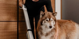 Beitragsbild des Blogbeitrags Sinnvolle Haushalts-Hacks: So leicht hältst du deinen Haushalt sauber – auch mit Hund!