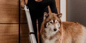 Beitragsbild des Blogbeitrags Sinnvolle Haushalts-Hacks: So leicht hältst du deinen Haushalt sauber – auch mit Hund! 