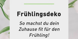 Beitragsbild des Blogbeitrags Frühlingsdekoration: So wird dein Zuhause frühlingsfit!