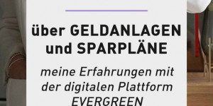Beitragsbild des Blogbeitrags Meine Evergreen Erfahrungen: Nimm dein Geld selbst in die Hand!