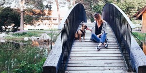 Beitragsbild des Blogbeitrags Wochenrückblick Nr. 5 – Steiermark, Besonderer Besuch und Urlaubspläne 