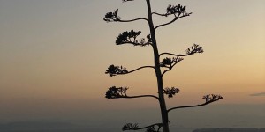 Beitragsbild des Blogbeitrags Athens City Guide - Where to Go, Eat & Sleep