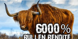 Beitragsbild des Blogbeitrags FINANZIELLE UNABHÄNGIGKEIT ERREICHEN – 6000% Bullen – Rendite mit Bernhard Rieder