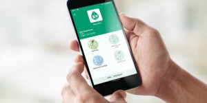 Beitragsbild des Blogbeitrags svsGO – digitaler Service für Selbstständige