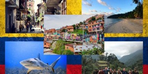 Beitragsbild des Blogbeitrags Kolumbien – Reiseblogger verraten ihre Highlights 