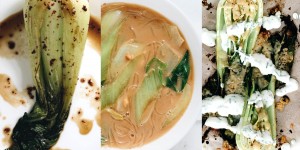 Beitragsbild des Blogbeitrags Dreierlei Pak Choi Rezepte – gebraten, gebacken und gekocht – low fodmap 