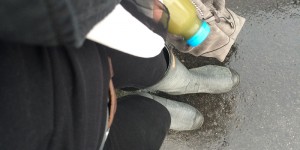 Beitragsbild des Blogbeitrags Saft-Detox mit frank juice Tag II