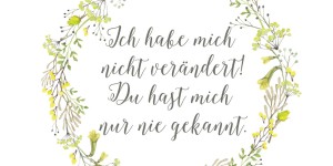 Beitragsbild des Blogbeitrags Ich habe mich nicht verändert! Du hast mich nur nie gekannt.