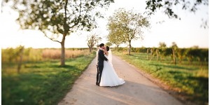Beitragsbild des Blogbeitrags Carina & Mark – Hochzeit im Schloss Halbturn – Hochzeitsfotograf Burgenland