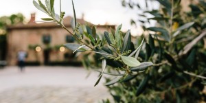 Beitragsbild des Blogbeitrags Engagement Shooting in der Toskana – Julia und David