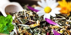 Beitragsbild des Blogbeitrags Heublumen – traditionelle Heilkräuter für zahlreiche Anwendungen