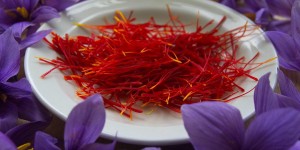 Beitragsbild des Blogbeitrags Safran – oder die heilende Wirkung des Krokus