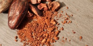 Beitragsbild des Blogbeitrags Magnesiummangel – die top vegangen Lebensmittel