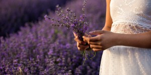 Beitragsbild des Blogbeitrags Von Lavendelessig bis hin zu Badesalzen und Ölen