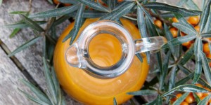 Beitragsbild des Blogbeitrags Sanddorn – Heilwirkung und herbstlicher Vitamin C Lieferant 