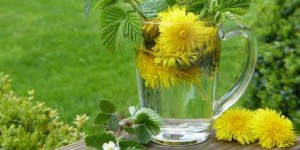 Beitragsbild des Blogbeitrags Kräuter gegen die Frühjahrsmüdigkeit