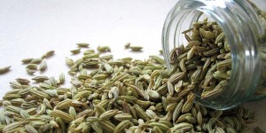 Beitragsbild des Blogbeitrags Fenchel – Heilwirkung und Anwendungsrezepte 