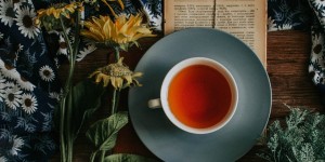 Beitragsbild des Blogbeitrags Heilfasten – Fastenkuren im Überblick
