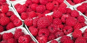 Beitragsbild des Blogbeitrags Die Heilkraft der Himbeere