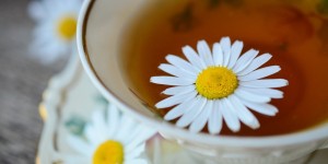 Beitragsbild des Blogbeitrags Sommergrippe – Was nun?