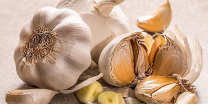 Beitragsbild des Blogbeitrags Mit Knoblauch nicht nur Vampire vertreiben