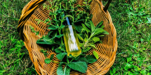Beitragsbild des Blogbeitrags Erfrischungsspray selbst gemacht | Minze – Salbei – Aloe