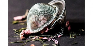 Beitragsbild des Blogbeitrags Mit Hilfe der Natur, die Hitze besser aushalten