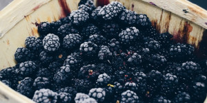 Beitragsbild des Blogbeitrags Heilendes von der Brombeere