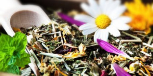 Beitragsbild des Blogbeitrags Heublumen – traditionelle Heilkräuter für zahlreiche Anwendungen