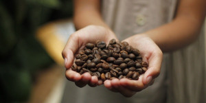 Beitragsbild des Blogbeitrags Augencreme – selbstgemacht mit Kaffee