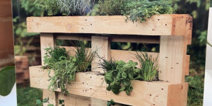 Beitragsbild des Blogbeitrags Buchverlosung: Garten-Projekte für Selbermacher