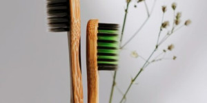 Beitragsbild des Blogbeitrags Mit einem natürlichen Zahnputzpulver Zähne pflegen und Umwelt schonen 