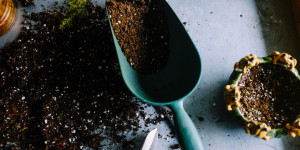 Beitragsbild des Blogbeitrags Was tun im Juni auf Balkon, Terrasse und Garten?