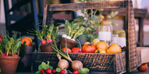 Beitragsbild des Blogbeitrags Was tun im Juli auf Balkon, Terrasse und Garten?