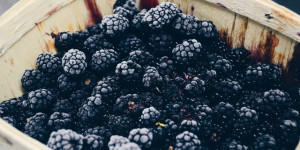 Beitragsbild des Blogbeitrags Heilendes von der Brombeere