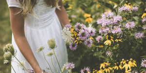 Beitragsbild des Blogbeitrags 15. August – traditionell der Tag der Kräuterweihe