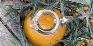Beitragsbild des Blogbeitrags Sanddorn – Heilwirkung und herbstlicher Vitamin C Lieferant