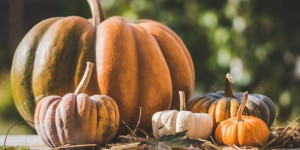 Beitragsbild des Blogbeitrags Kürbis – gesund durch den Herbst