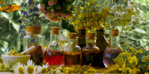 Beitragsbild des Blogbeitrags Tinkturen – Die wichtigsten Rezepte für den Herbst