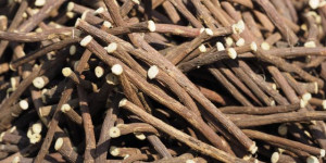 Beitragsbild des Blogbeitrags Süßholz – Heilwirkung und Anwendung