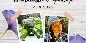 Beitragsbild des Blogbeitrags Die 10 beliebtesten Blogbeiträge auf der Kräuterhexe – schnu1.com