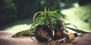 Beitragsbild des Blogbeitrags CBD – Cannabidiol Wirkung und Anwendung