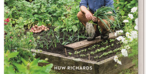 Beitragsbild des Blogbeitrags Buchverlosung – Mein Gemüsegarten – so gelingt Selbstversorgung von Huw Richards 