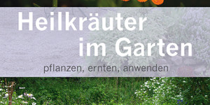 Beitragsbild des Blogbeitrags Buchverlosung: Heilkräuter im Garten – pflanzen, ernten, anwenden von Thomas Pfister & Reinhard Saller 