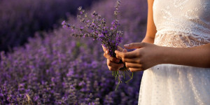 Beitragsbild des Blogbeitrags Lavendel – vom Essig bis hin Heilanwendungen