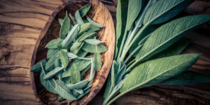 Beitragsbild des Blogbeitrags Salbei – Heilwirkung und Rezepte